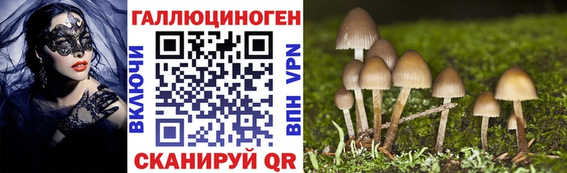 Галлюциногенные грибы Psilocybine cubensis  Купить где  Поворино 